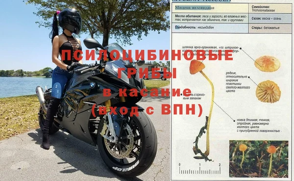apvp Абинск