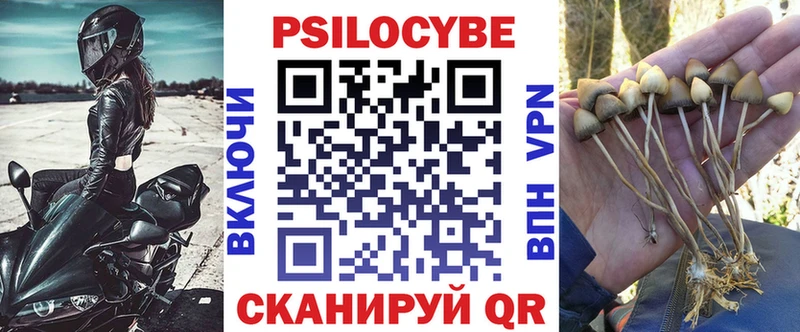 Псилоцибиновые грибы Cubensis Руза