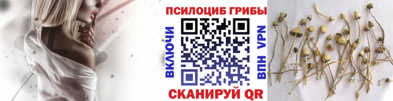 Галлюциногенные грибы Magic Shrooms купить наркотик Руза